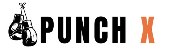 Punch X